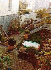 kleines Hofparadies kleines Hofparadies