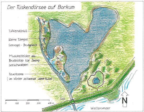 Tüskendörsee auf Borkum